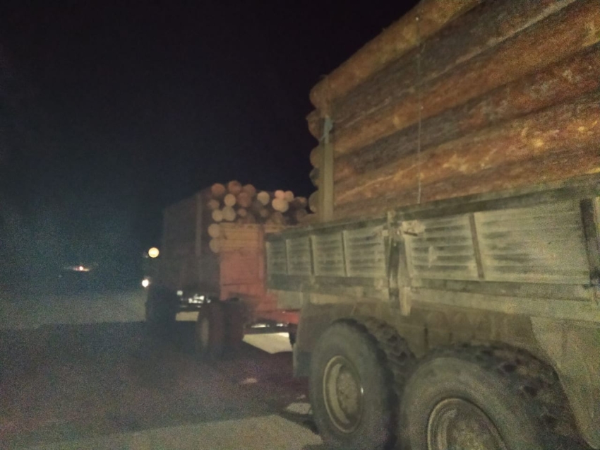 ​Более 20 случаев незаконной рубки лесов выявили за неделю в Забайкалье